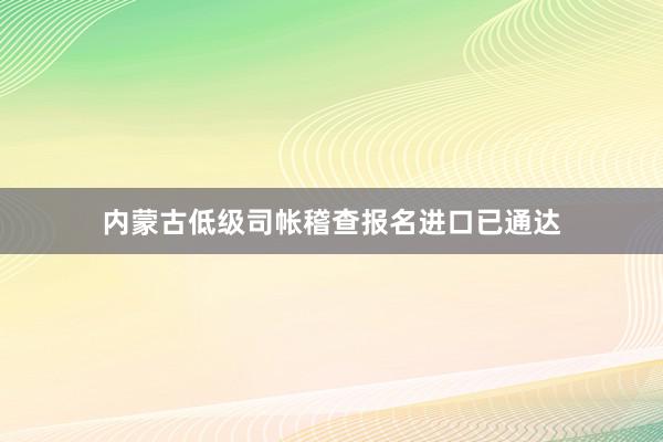 内蒙古低级司帐稽查报名进口已通达