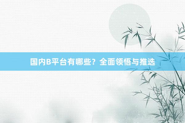 国内B平台有哪些？全面领悟与推选