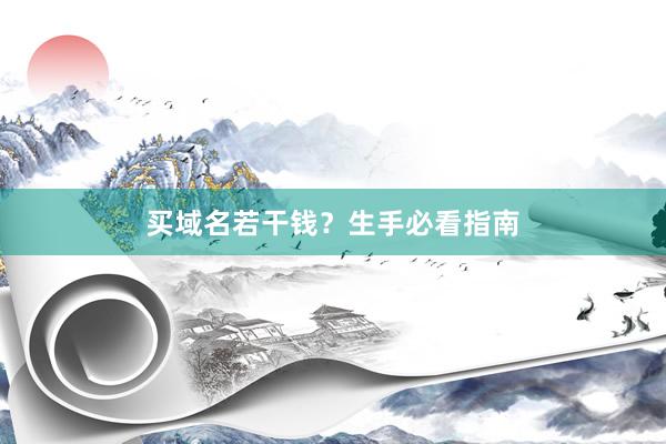 买域名若干钱？生手必看指南